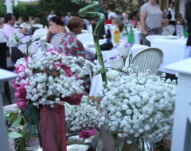 Hotel Corona 3* ريتشيوني